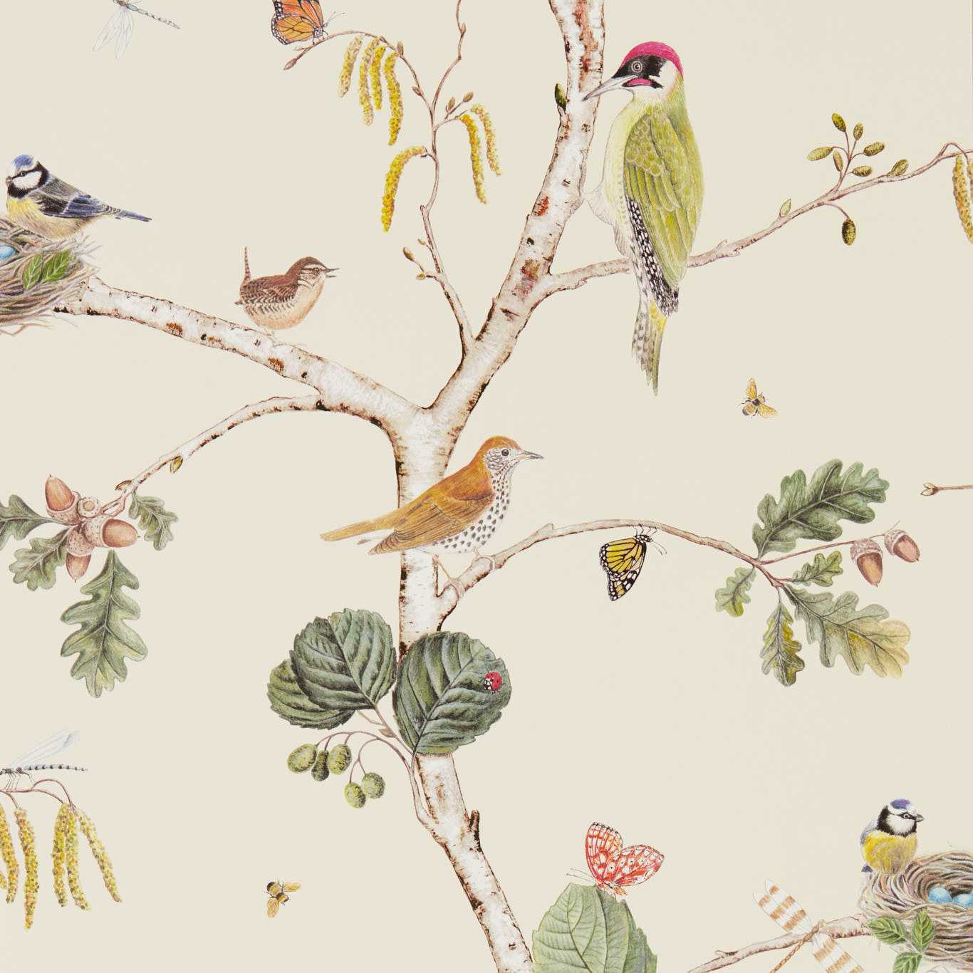 Woodland Chorus Cream/Multi