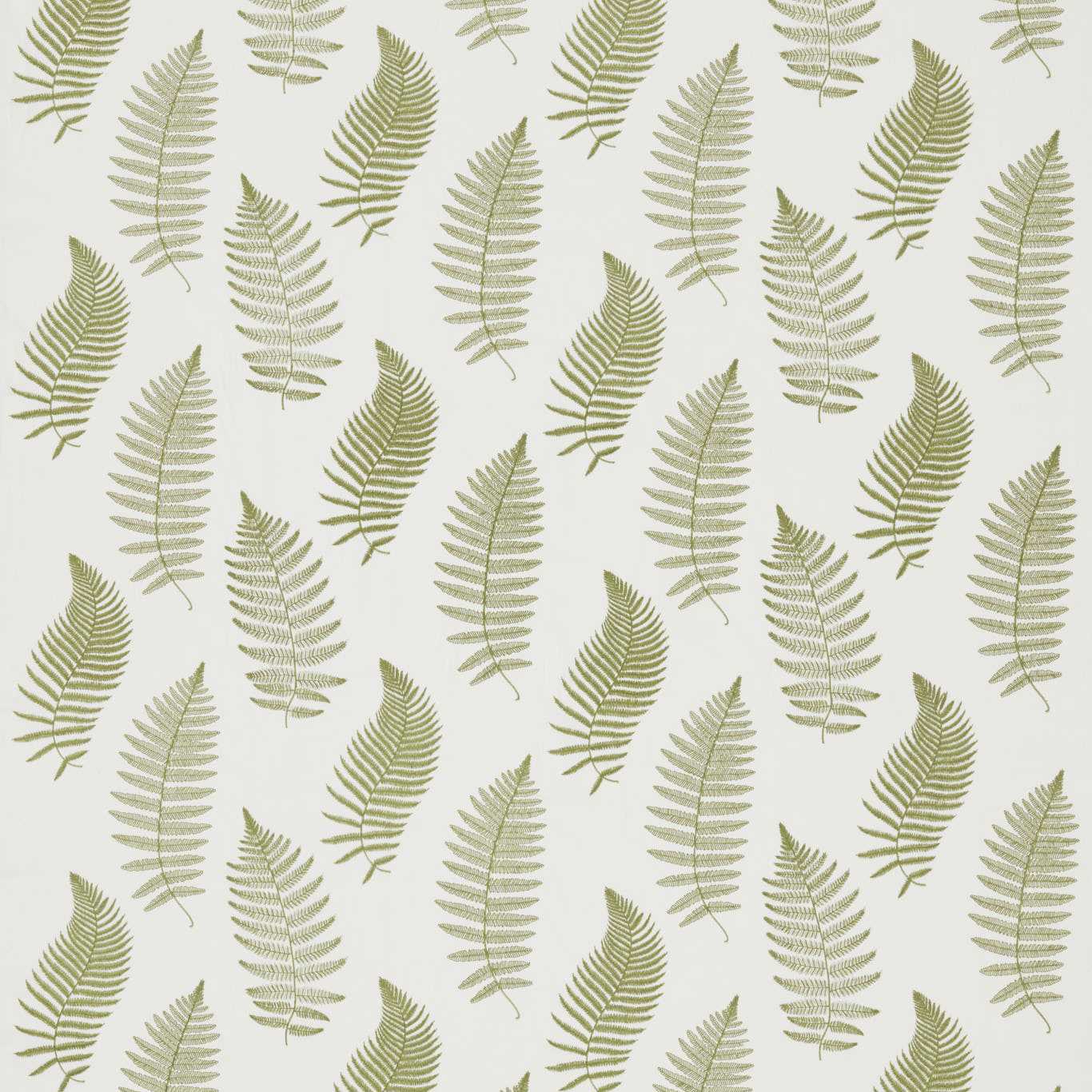 Woodland Ferns Green